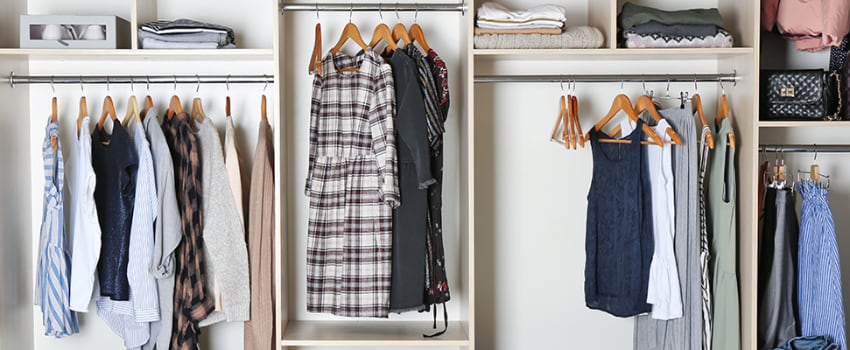 Closet organizer in Sylvania apartment